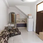Suncokret