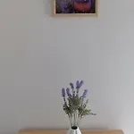 Appartamento Suncokret Medolino