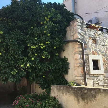 Suncokret * Medolino