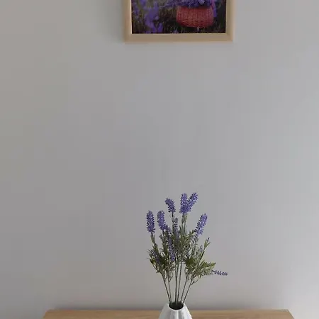 Apartment Suncokret Medulin