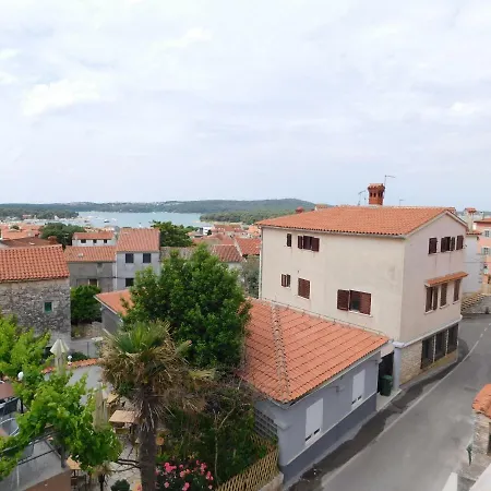 Suncokret *