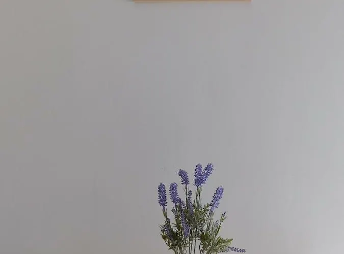 Apartment Suncokret Medulin